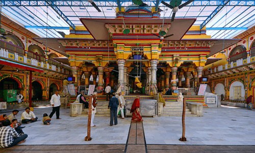 Forest-Bathing